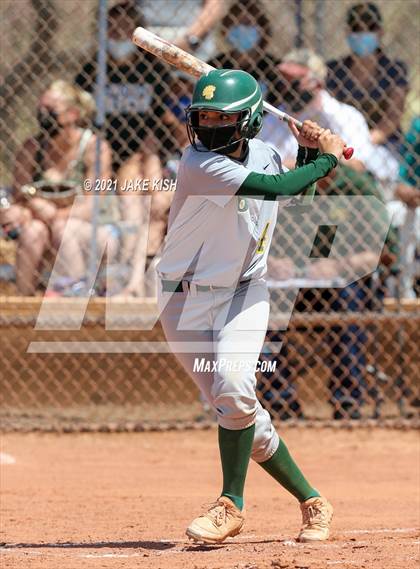 Thumbnail 1 in Sahuaro @ Canyon del Oro photogallery.