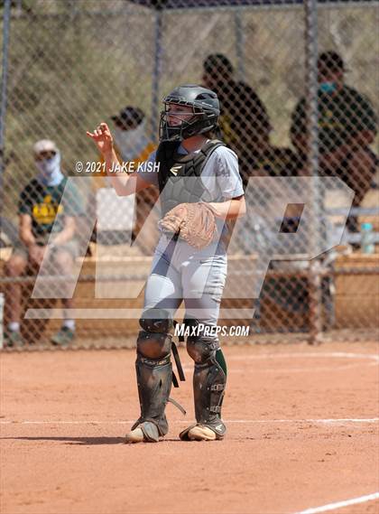 Thumbnail 2 in Sahuaro @ Canyon del Oro photogallery.