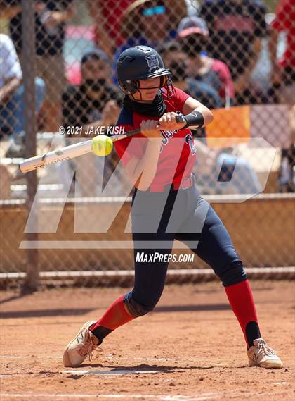 Thumbnail 1 in Sahuaro @ Canyon del Oro photogallery.