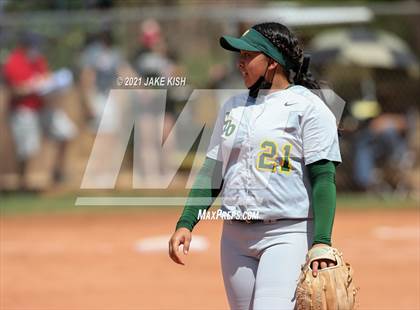 Thumbnail 1 in Sahuaro @ Canyon del Oro photogallery.