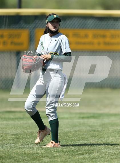 Thumbnail 1 in Sahuaro @ Canyon del Oro photogallery.