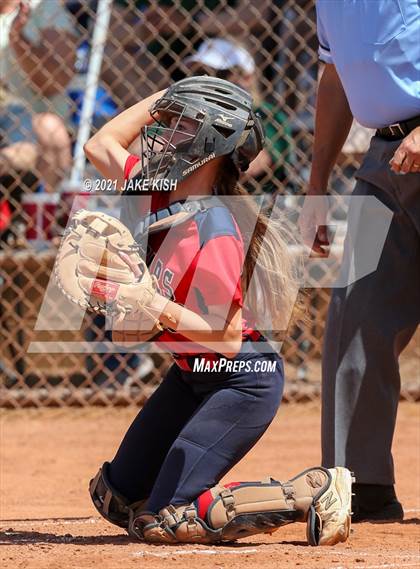 Thumbnail 2 in Sahuaro @ Canyon del Oro photogallery.