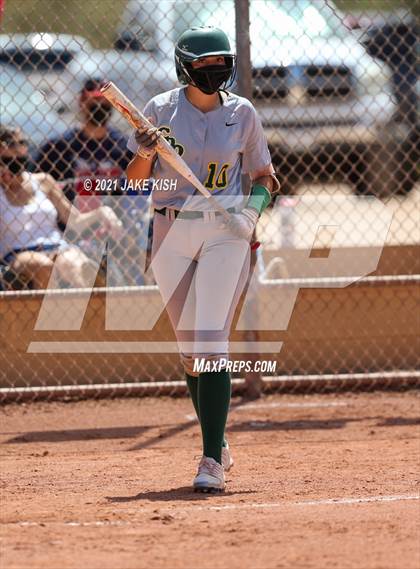 Thumbnail 2 in Sahuaro @ Canyon del Oro photogallery.