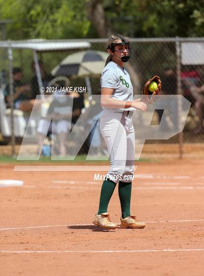 Thumbnail 1 in Sahuaro @ Canyon del Oro photogallery.