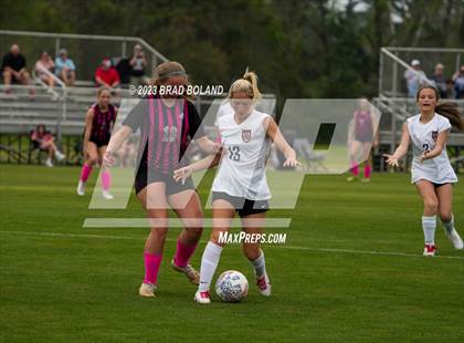 Thumbnail 2 in Hilldale @ Elberta photogallery.