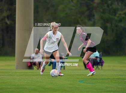 Thumbnail 1 in Hilldale @ Elberta photogallery.