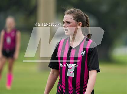Thumbnail 1 in Hilldale @ Elberta photogallery.