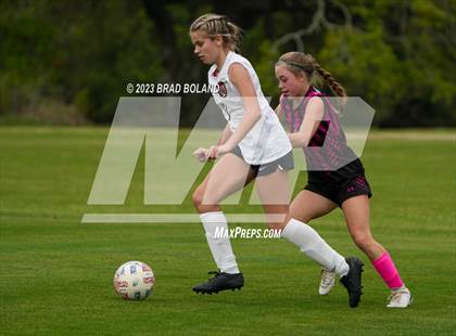 Thumbnail 2 in Hilldale @ Elberta photogallery.