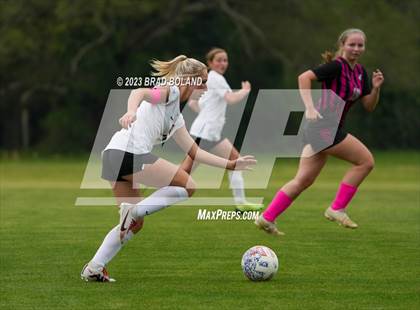 Thumbnail 3 in Hilldale @ Elberta photogallery.