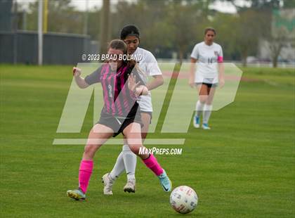 Thumbnail 1 in Hilldale @ Elberta photogallery.