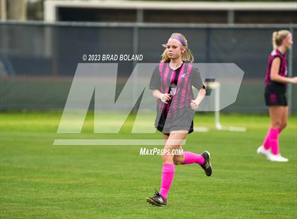Thumbnail 3 in Hilldale @ Elberta photogallery.