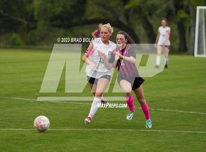 Thumbnail 1 in Hilldale @ Elberta photogallery.