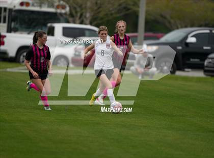 Thumbnail 1 in Hilldale @ Elberta photogallery.