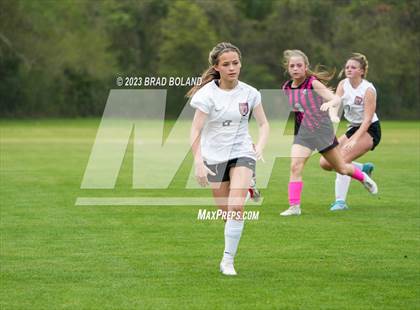 Thumbnail 1 in Hilldale @ Elberta photogallery.