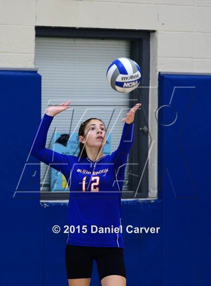 Thumbnail 3 in Blind Brook @ Ardsley photogallery.