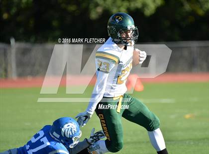 Thumbnail 1 in Clearview @ Paul VI photogallery.