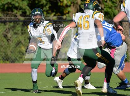 Thumbnail 2 in Clearview @ Paul VI photogallery.