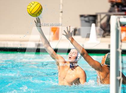 Thumbnail 2 in Clayton Valley Charter vs. Homestead photogallery.