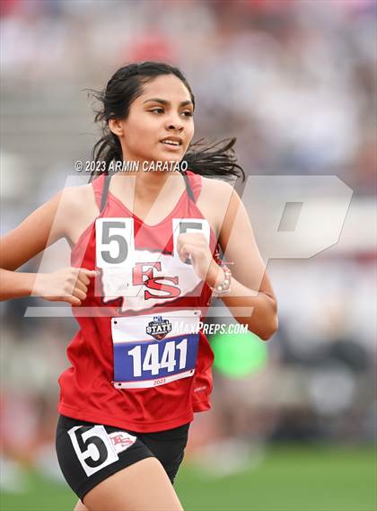 Thumbnail 2 in UIL 3A Track & Field Finals  photogallery.