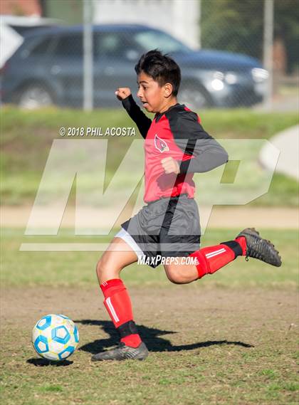 Thumbnail 1 in Whittier vs Maranatha photogallery.