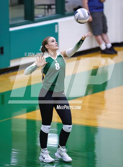 Thumbnail 3 in Abilene Christian vs Breckenridge (Breckenridge Tournament) photogallery.