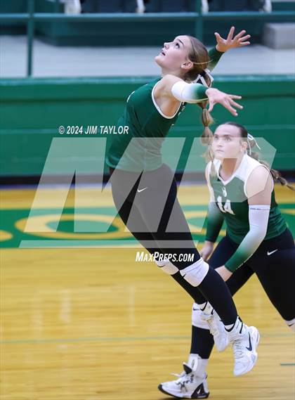 Thumbnail 1 in Abilene Christian vs Breckenridge (Breckenridge Tournament) photogallery.