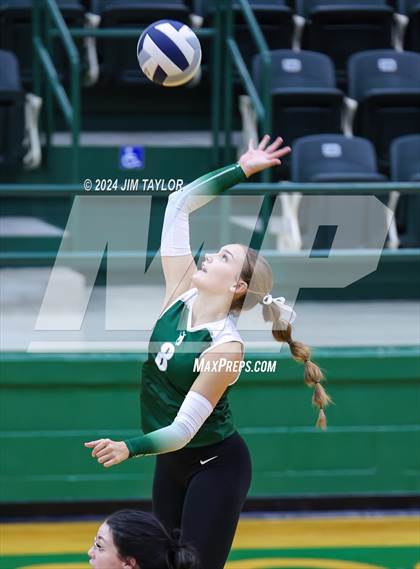 Thumbnail 3 in Abilene Christian vs Breckenridge (Breckenridge Tournament) photogallery.