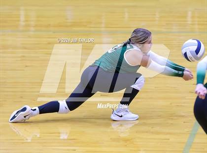 Thumbnail 1 in Abilene Christian vs Breckenridge (Breckenridge Tournament) photogallery.