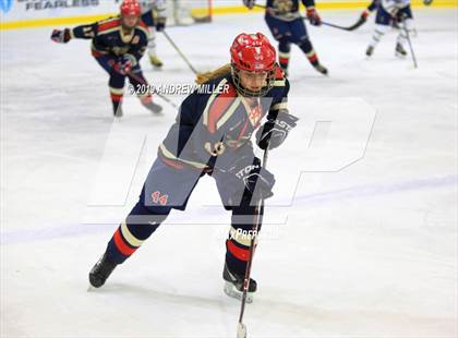 Thumbnail 3 in Skaneateles vs Williamsville (NYSPHSAA Final) photogallery.
