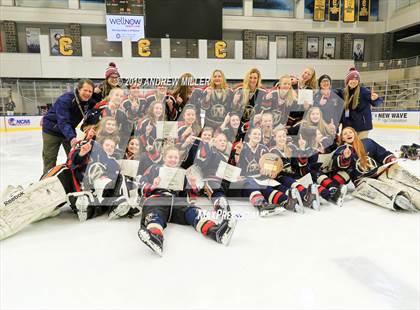 Thumbnail 1 in Skaneateles vs Williamsville (NYSPHSAA Final) photogallery.