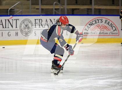 Thumbnail 1 in Skaneateles vs Williamsville (NYSPHSAA Final) photogallery.