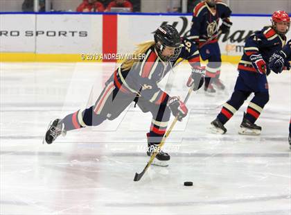 Thumbnail 1 in Skaneateles vs Williamsville (NYSPHSAA Final) photogallery.