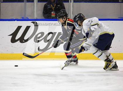 Thumbnail 3 in Skaneateles vs Williamsville (NYSPHSAA Final) photogallery.