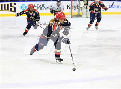 Thumbnail 2 in Skaneateles vs Williamsville (NYSPHSAA Final) photogallery.