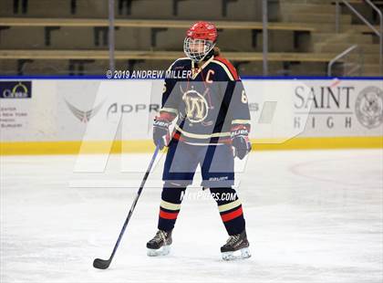 Thumbnail 1 in Skaneateles vs Williamsville (NYSPHSAA Final) photogallery.