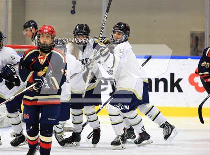Thumbnail 1 in Skaneateles vs Williamsville (NYSPHSAA Final) photogallery.