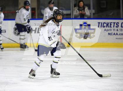 Thumbnail 3 in Skaneateles vs Williamsville (NYSPHSAA Final) photogallery.