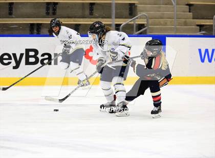 Thumbnail 1 in Skaneateles vs Williamsville (NYSPHSAA Final) photogallery.