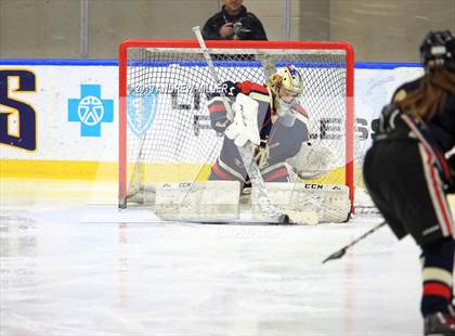 Thumbnail 1 in Skaneateles vs Williamsville (NYSPHSAA Final) photogallery.