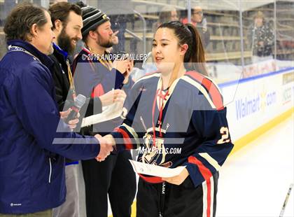 Thumbnail 1 in Skaneateles vs Williamsville (NYSPHSAA Final) photogallery.