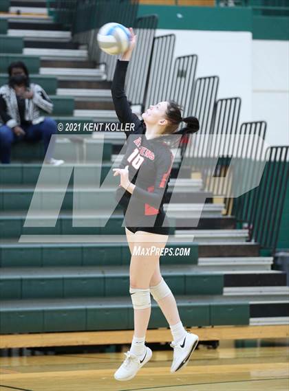 Thumbnail 3 in Athens @ Lake Orion photogallery.