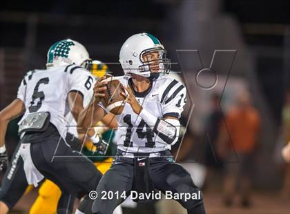 Thumbnail 1 in Sheldon @ Placer photogallery.
