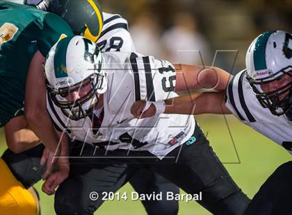 Thumbnail 1 in Sheldon @ Placer photogallery.