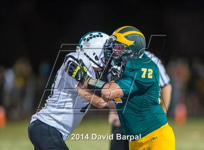 Thumbnail 3 in Sheldon @ Placer photogallery.