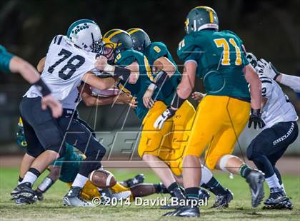 Thumbnail 2 in Sheldon @ Placer photogallery.