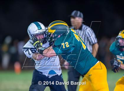 Thumbnail 1 in Sheldon @ Placer photogallery.