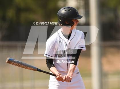 Thumbnail 3 in Ledford Senior vs Ardrey Kell (Charlotte Top 8 Spring Break Tournament) photogallery.