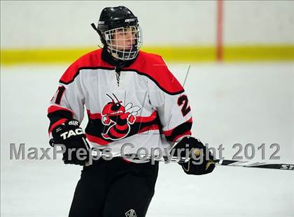 Thumbnail 1 in Glastonbury @ Branford photogallery.