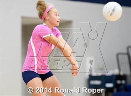 Thumbnail 1 in Mesquite @ Wylie East photogallery.