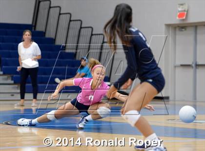 Thumbnail 2 in Mesquite @ Wylie East photogallery.